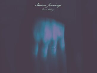 artwork for Mason Jennings album "Dark Wings"