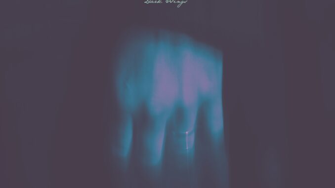 artwork for Mason Jennings album "Dark Wings"