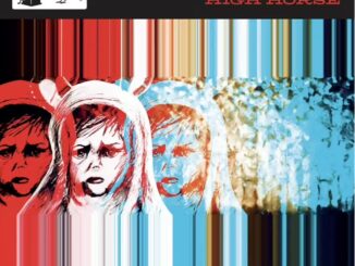 Artwork for Cut Throat Finches album "High Horse"