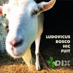 Cover art Dix 'Ludovicus...'