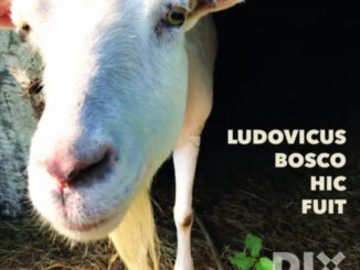 Cover art Dix 'Ludovicus...'