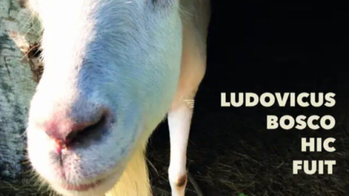 Cover art Dix 'Ludovicus...'