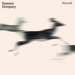 Album cover artwork for Damien Dempsey "Holywell"