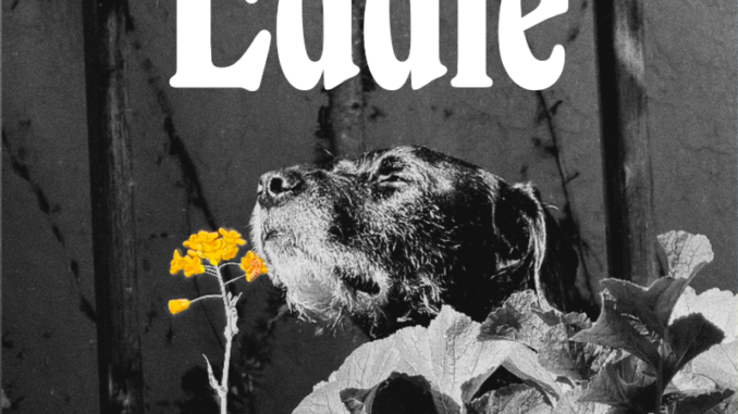 artwork for Nick Costa album "Eddie"