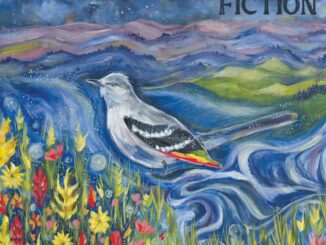 Artwork for Megan Bee's "Fiction" album