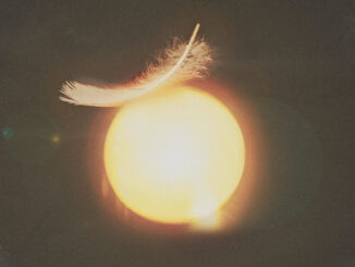 artwork for Great Lake Swimmers album "Caught Light"