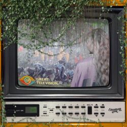 Album Art Great Television by Elizabeth Cook