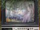 Album Art Great Television by Elizabeth Cook