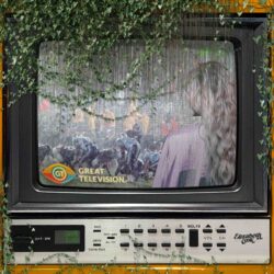 Album art Great television Elizabeth Cook