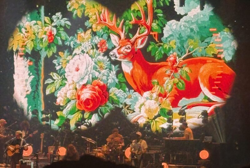 Tyler Childers live at the O2, London on 15 November 2025