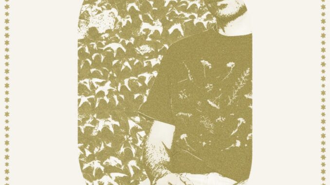 artwork for Still Life Painter album "A Month of Longest Days"