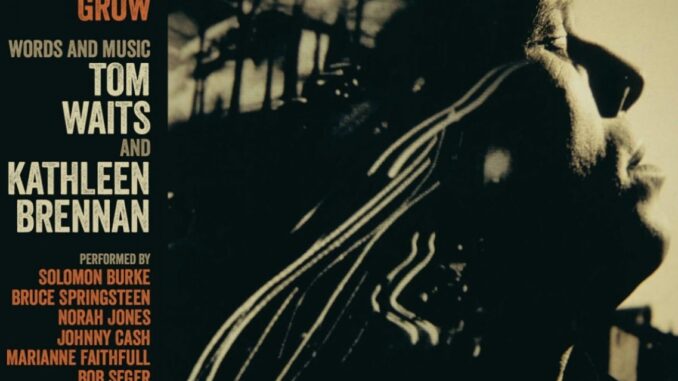 artwork for Various Artists Where The Willow And The Dogwood Grow - Words And Music Tom Waits And Kathleen Brennan