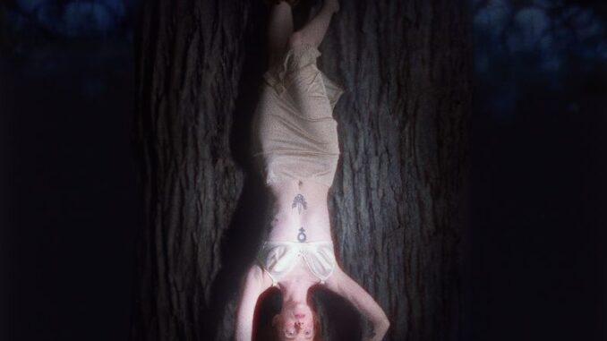 artwork for Maddie Medley album Fawn's Enemy