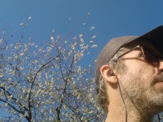 Promo photo for Joel Robson album "Breadcrumbs"