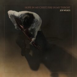 album Art Joe Wilkes 