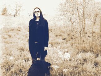 Jesse Sykes & The Sweet Hereafter: Album Cover