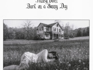 Maisie Owen Dark on a Sunny Day cover art