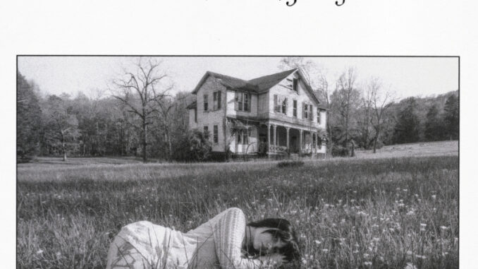 Maisie Owen Dark on a Sunny Day cover art