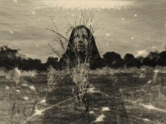 Promo photo for Moon Mother album "Meadowlands"