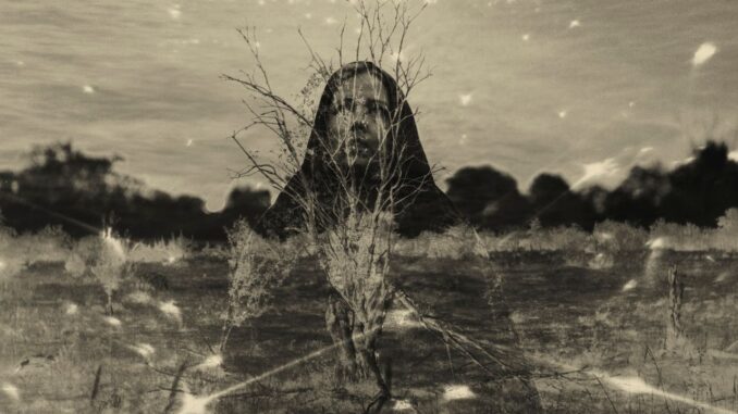 Promo photo for Moon Mother album "Meadowlands"