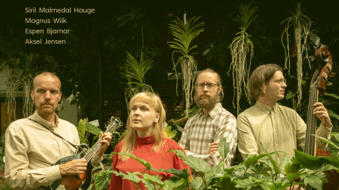 artwork for Open String Department album "We Can Be Anyone"