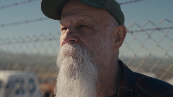 Seasick Steve