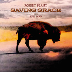 artwork for Robert Plant album "Saving Grace"