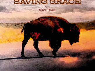 artwork for Robert Plant album "Saving Grace"