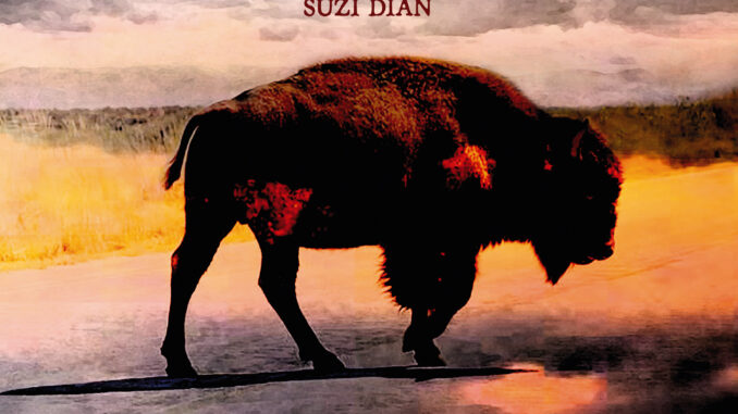 artwork for Robert Plant album "Saving Grace"