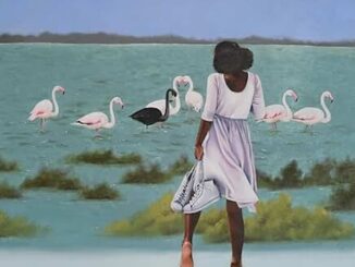 artwork for Sunny War album "Armageddon In A Summer Dress"