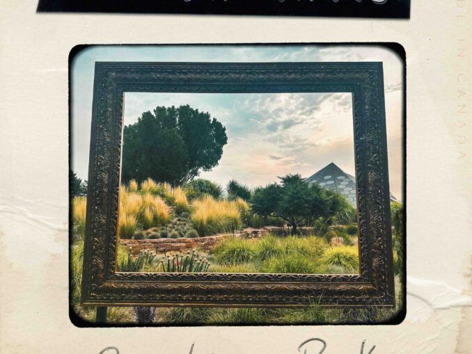 Album art for Sanctuary Park by The Jayhawks