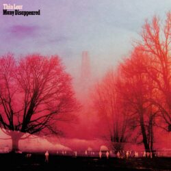 ThinLearManyDisappearedAlbumArtwork