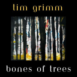 Tim Grimm Bones of Trees album cover
