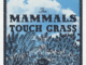 artwork for The Mammals album "Touch Grass Vol. 1"