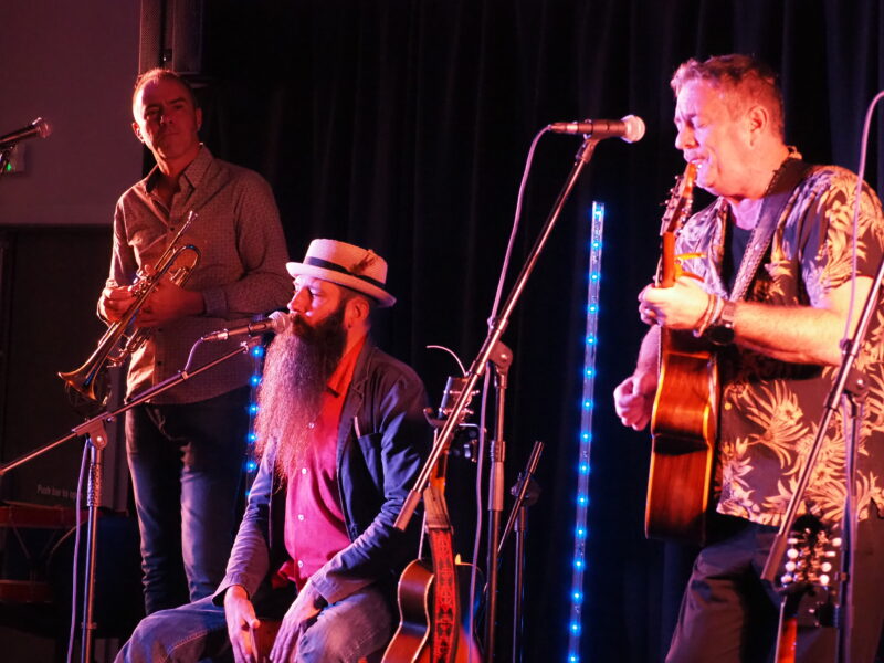 Track Dogs live at Newbald Village Hall, North Newbald, Yorkshire, - 13th September 2025