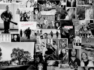 Artwork for the Wave Pictures album Gained/Lost