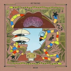 Album cover artwork for "8000 Days" by West Texas Exiles