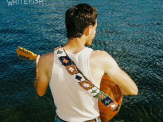artwork for Mistaken For Wayne album "Whitefish"