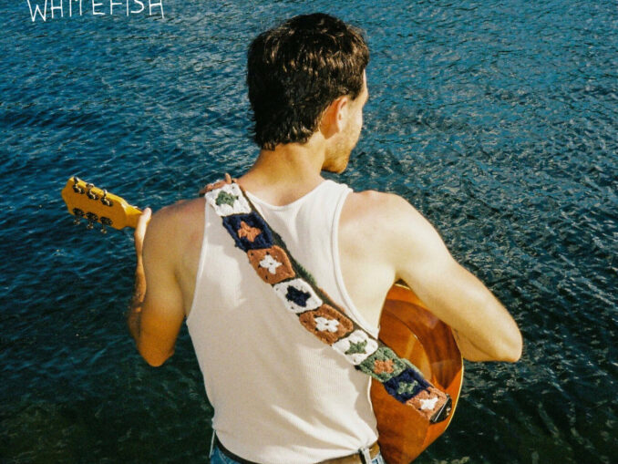 artwork for Mistaken For Wayne album "Whitefish"