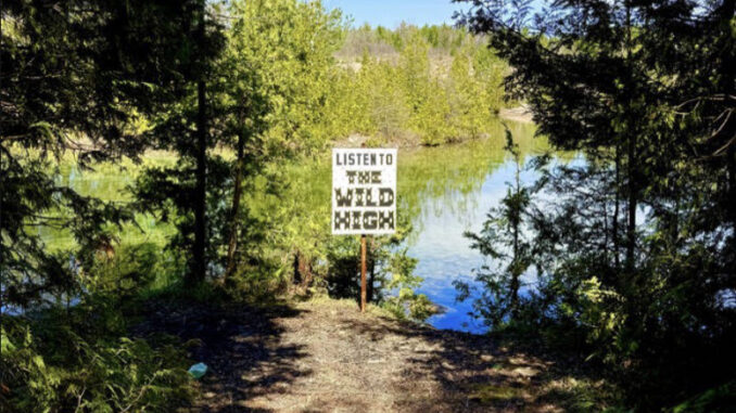 Wild High 'Listen To...' cover art