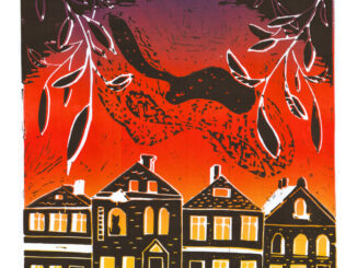 Cover of "Concerns of Wasp and Willow" by The Corner Laughers