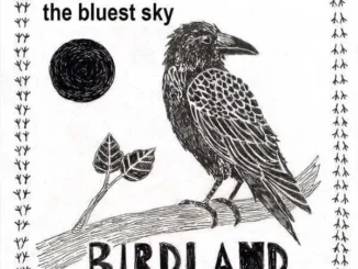 Cover art for album Birdland by The Bluest Sky