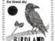 Cover art for album Birdland by The Bluest Sky