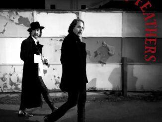 black crowes a pound of feathers cover