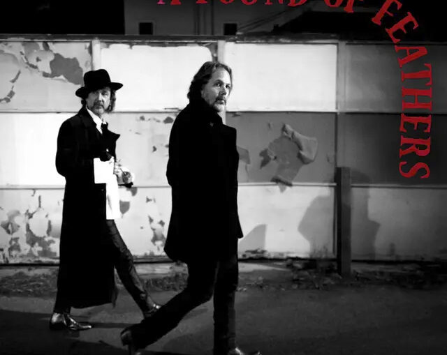 black crowes a pound of feathers cover