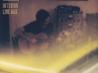 Album art for Cass Mccombs Interior Live Oak