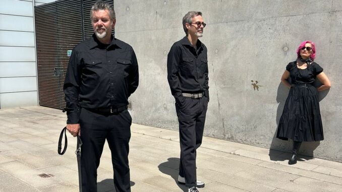 artwork Aisha Khan Twang Factor