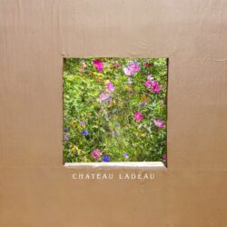 artwork for Jon LaDeau album "Chateau LaDeau"