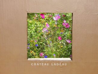 artwork for Jon LaDeau album "Chateau LaDeau"