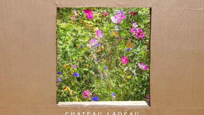 artwork for Jon LaDeau album "Chateau LaDeau"